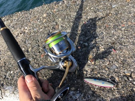 ジグサビキでアジ爆釣